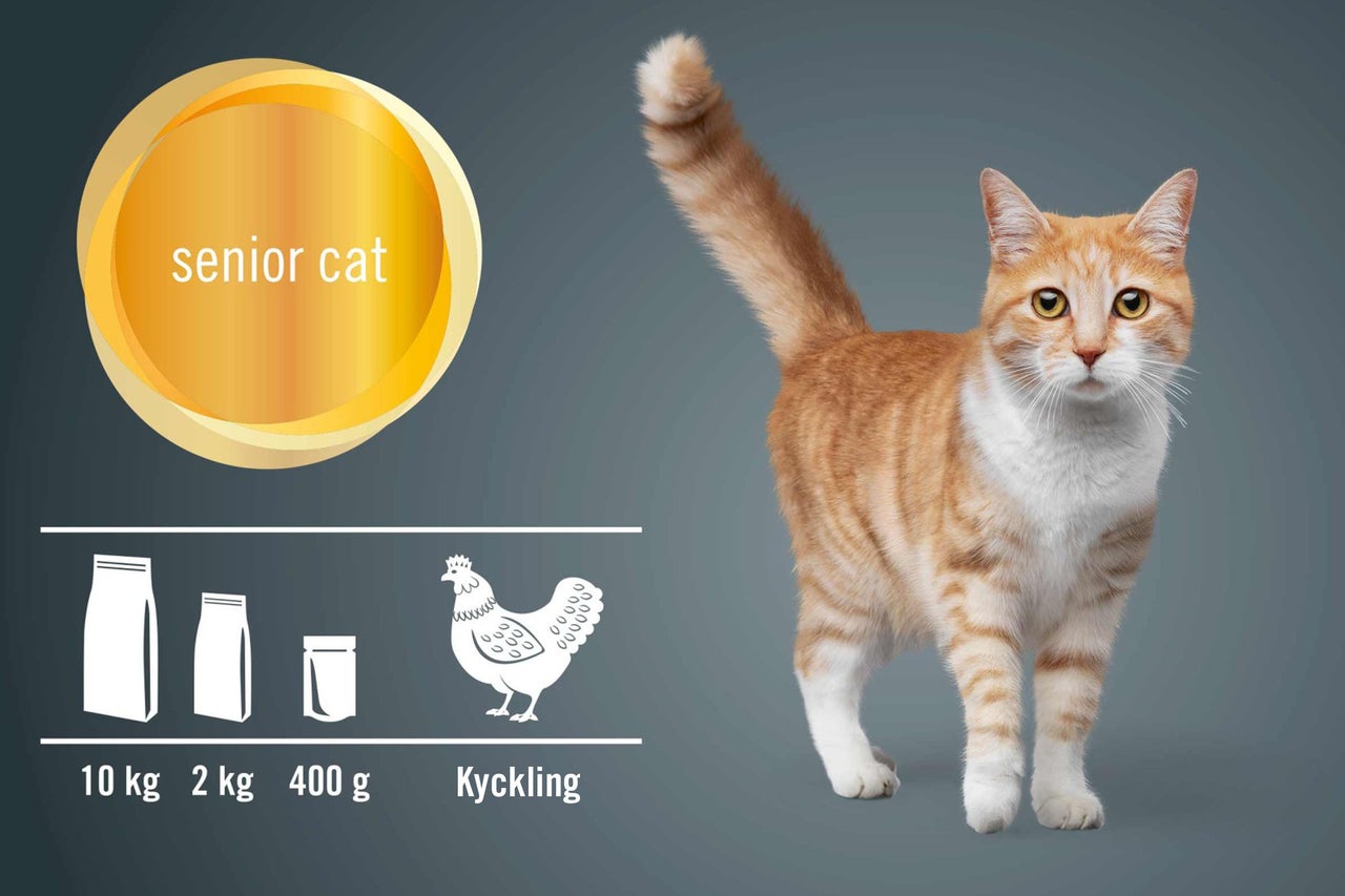 Kattmat för äldre katter med kyckling i förpackningar om 10 kilogram, 2 kilogram och 400 gram
