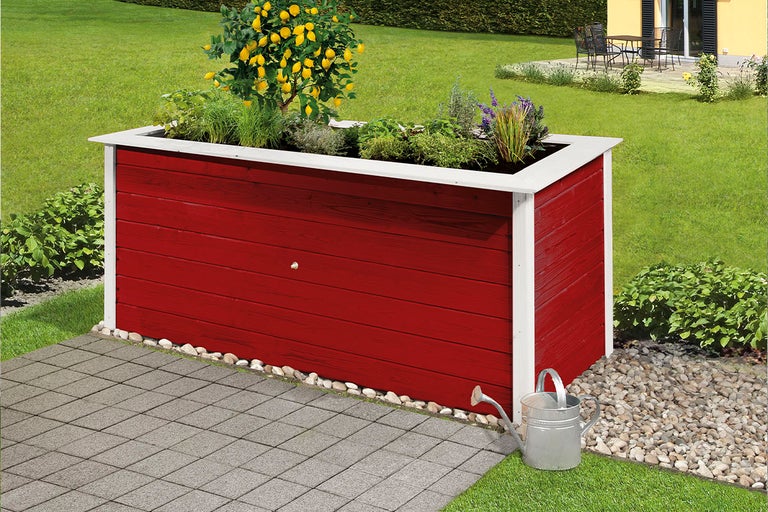 Hög träbädd med växter och citron i trädgården