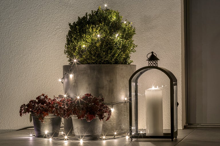 Dekorativ trädgårdsscen med växter i krukor, ljusslinga och en lykta med ljus.