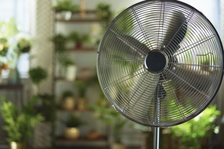 Golvfläkt i rum med växter