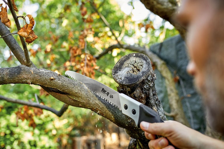 Grensåg när du sågar en gren i trädgården