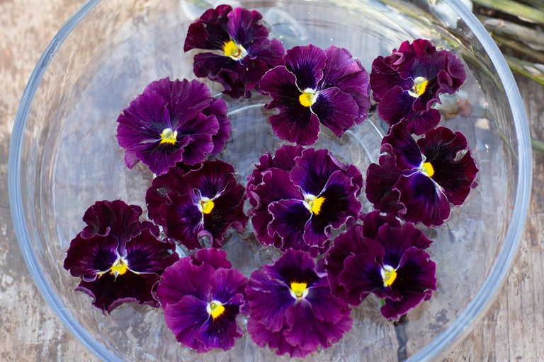 Lila penséblommor flyter i en glasskål med vatten.