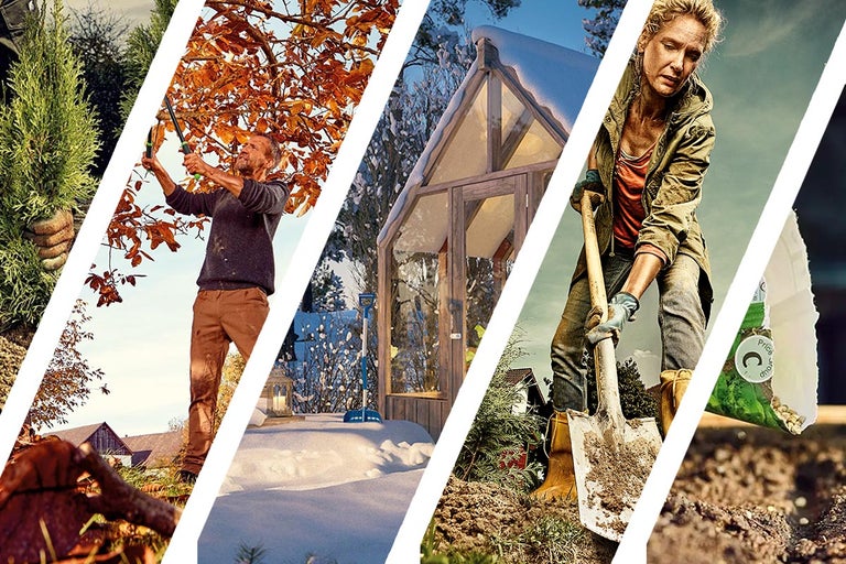 Collage med olika trädgårdsscener: trädvård, växthus på vintern, kvinna med spade i trädgården och fröpåse.