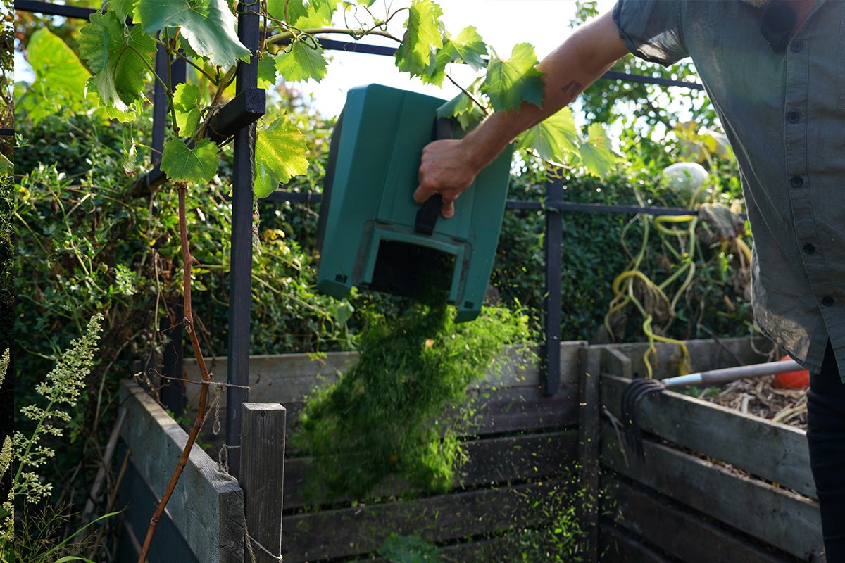 Person tömmer grönt avfall från en kompostbehållare i en öppen träkompost.