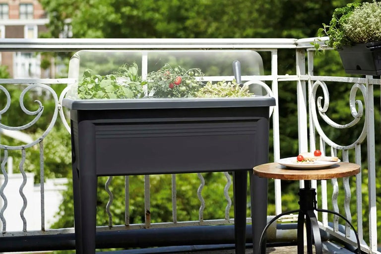 Odlad låda med tomatplantor och trädgårdsredskap på en balkong.