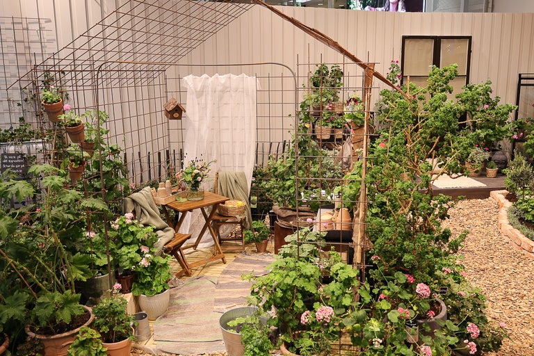 Ljus trädgårdsscen med husstomme av metallnät, hopfällbara trämöbler, många krukväxter och täckbark på marken.