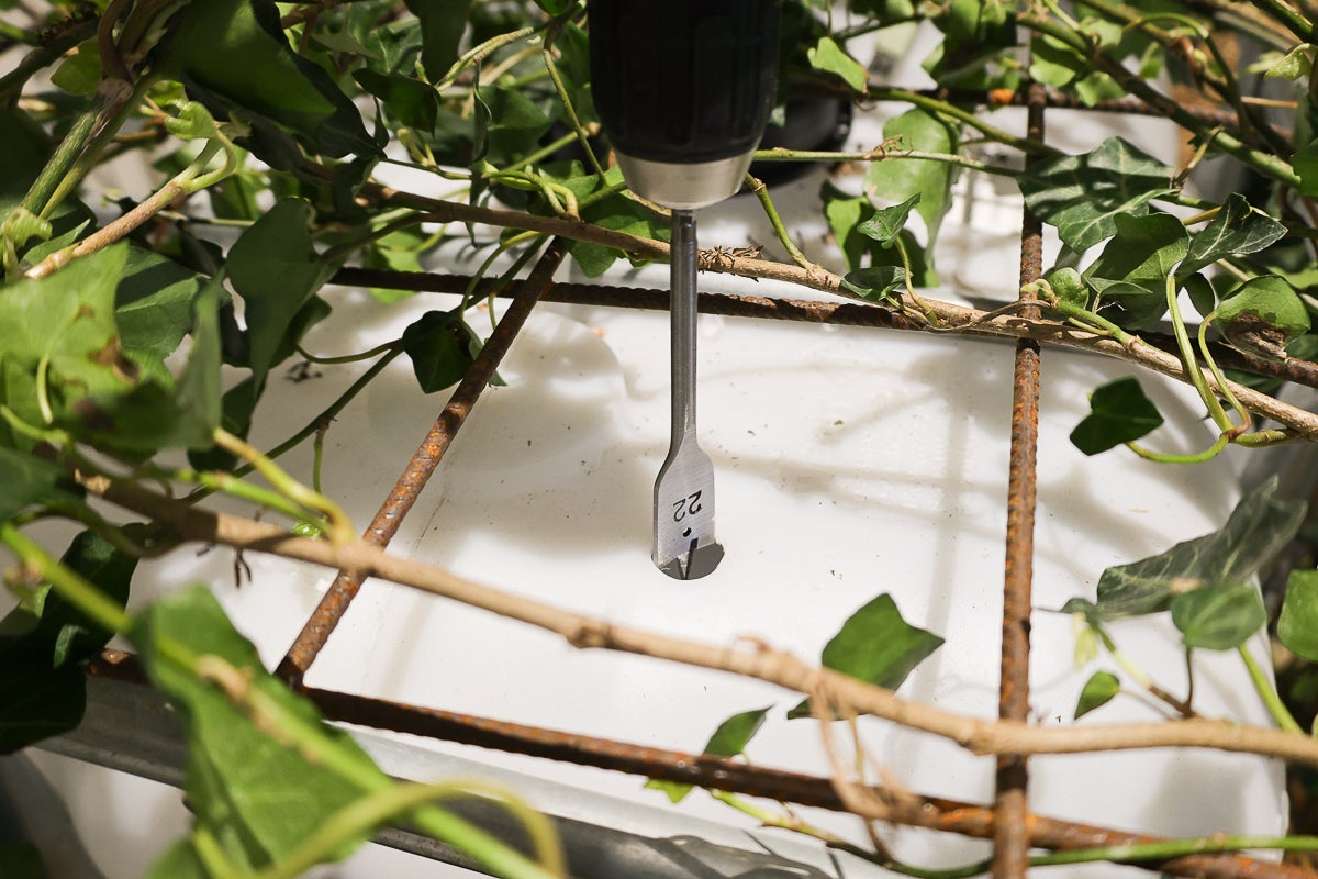 En centrumborr storlek 22 borrar genom ett metallgaller in i en vit plastbehållare omgiven av grön murgröna.