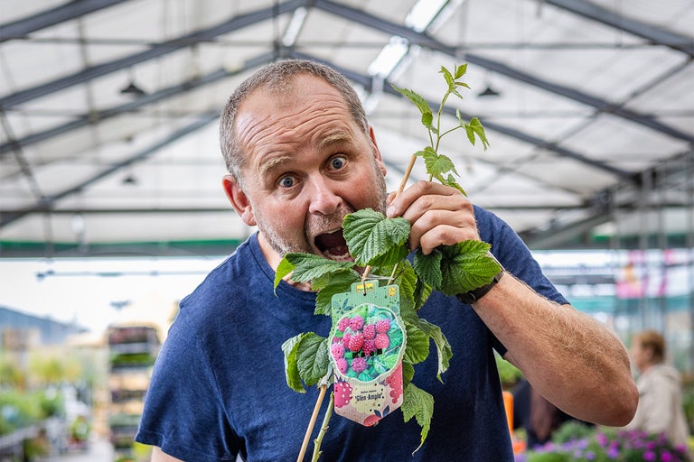 Fem höstplantor – John Taylors favoriter