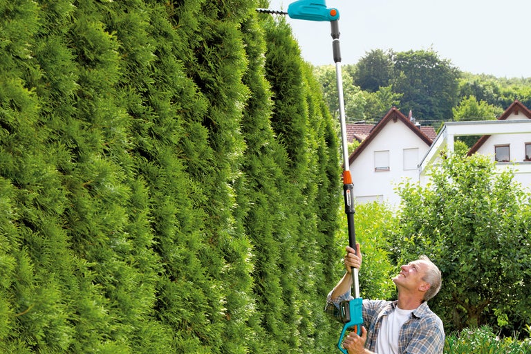 Man klipper häck med en batteridriven teleskopisk häcksax.