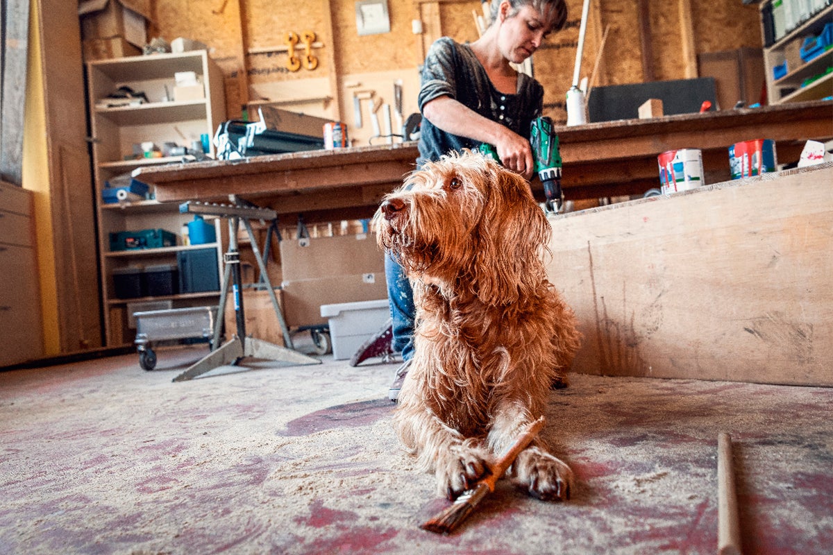 Kvinna arbetar med en borrmaskin i en verkstad, hund ligger bredvid
