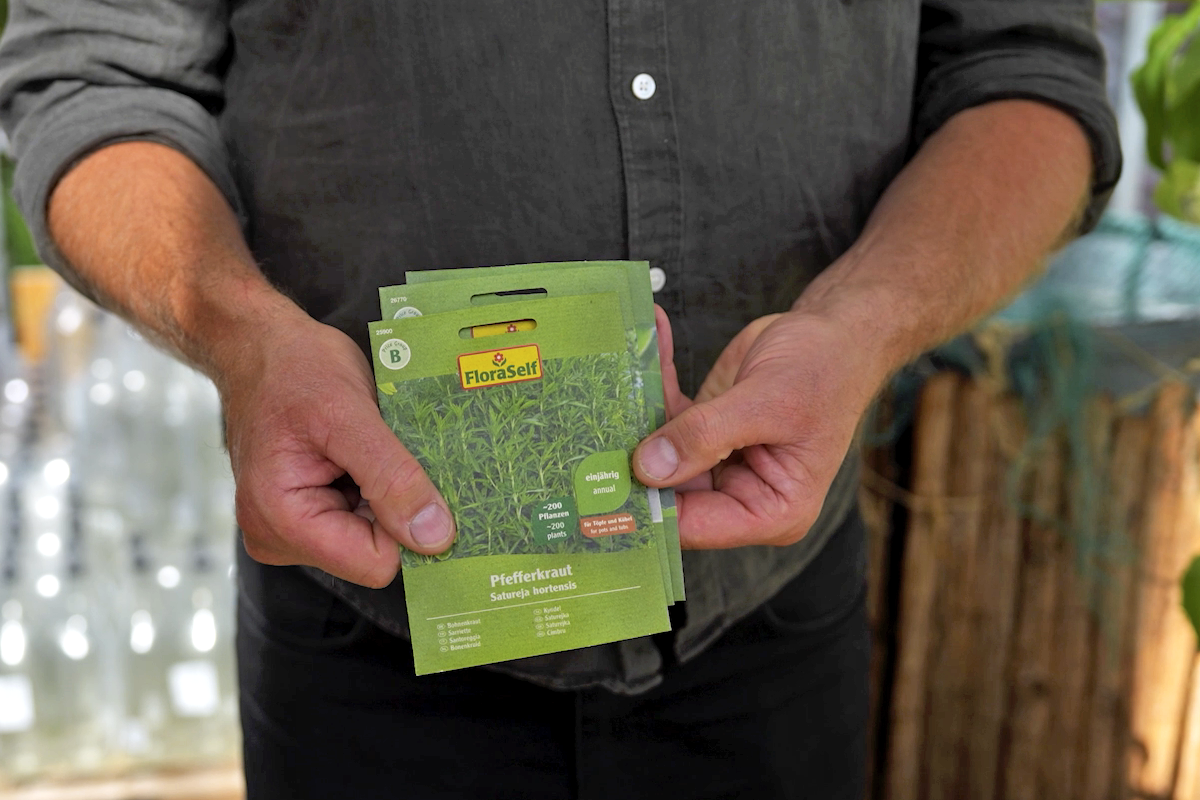 En person håller ett fröpaket med kyndel FloraSelf Satureja hortensis i handen.