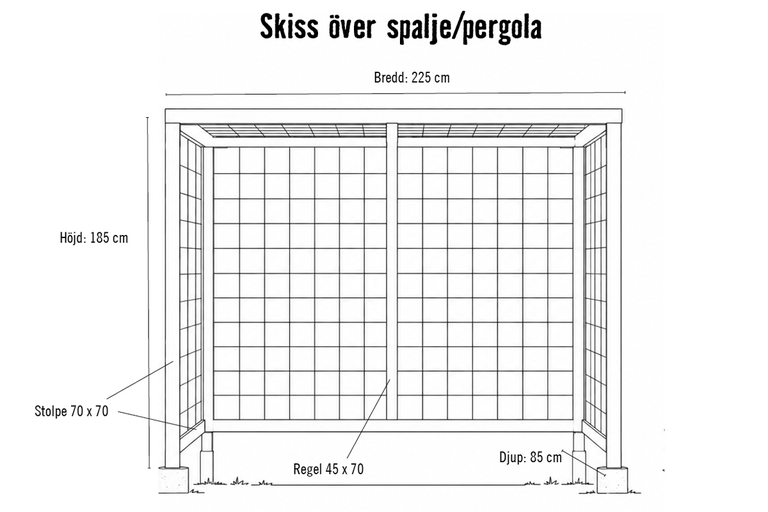 Teknisk skiss över en spaljé pergola med angivna mått för bredd höjd och djup samt information om stolpar och reglar.
