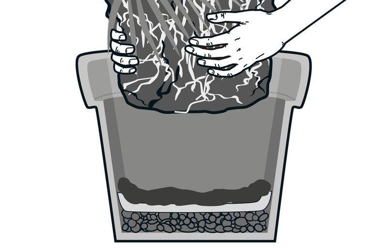 Illustration av planteringsjord som placeras i en kruka