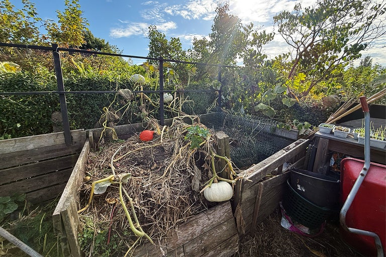 Trädgårdskompostscen med träram och pumpor
