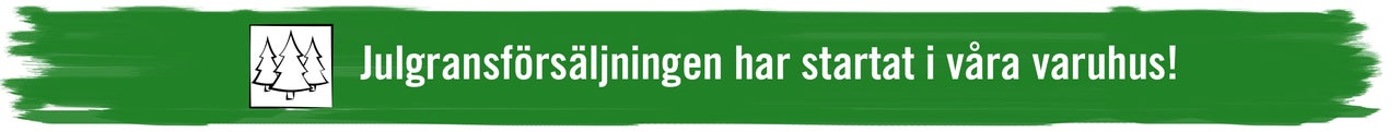 Julgransförsäljningen har startat i våra varuhus
