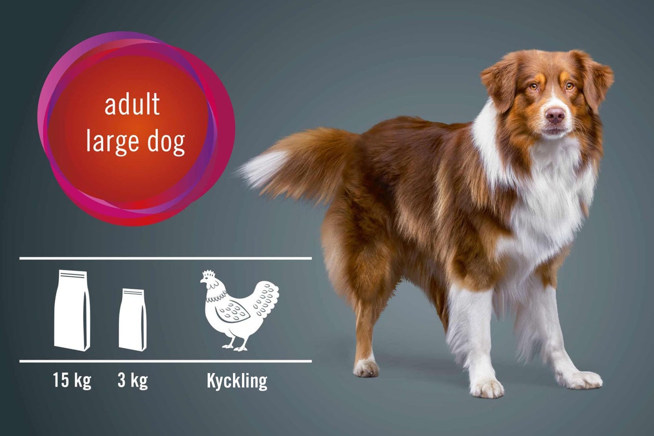 Illustration: Foder för vuxna, stora hundar, förpackningar om 15 kg och 3 kg samt fågel