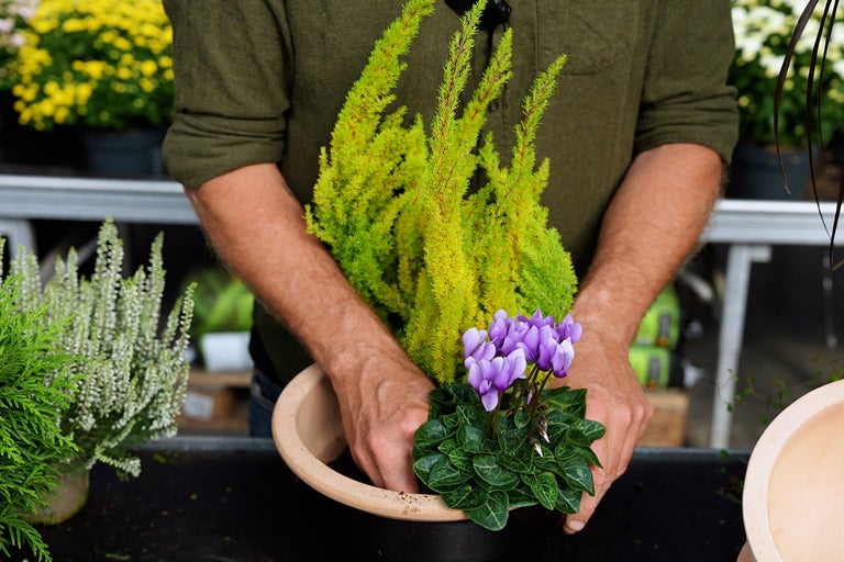 En man planterar olika växter i en kruka för att skapa en höstdekoration.