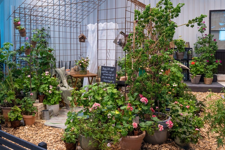 Inrett trädgårdsområde med armeringsnät som växtstöd, fyllt med krukväxter, möbler och täckbark på marken.