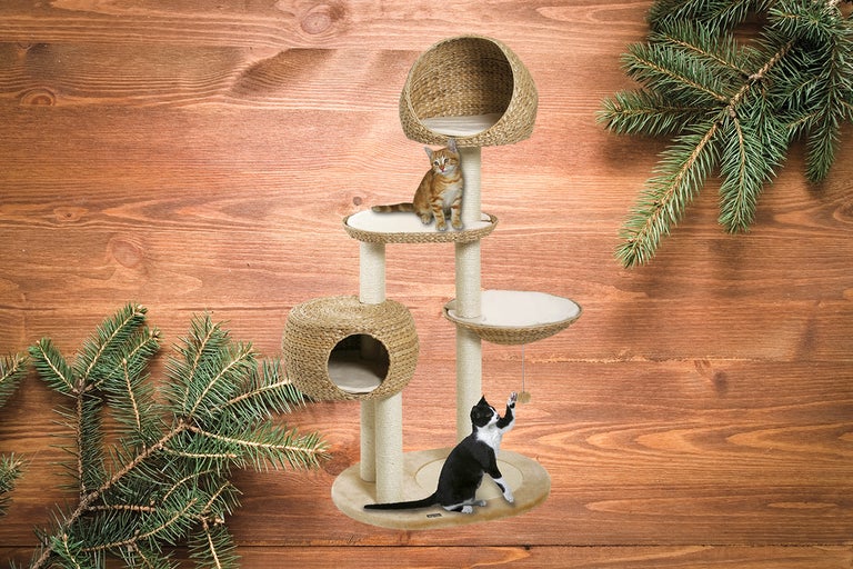 Kattklös med två katter