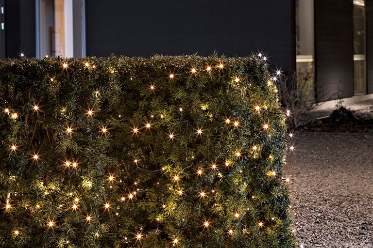 Buxushäck med glittrande ljusslinga i trädgården