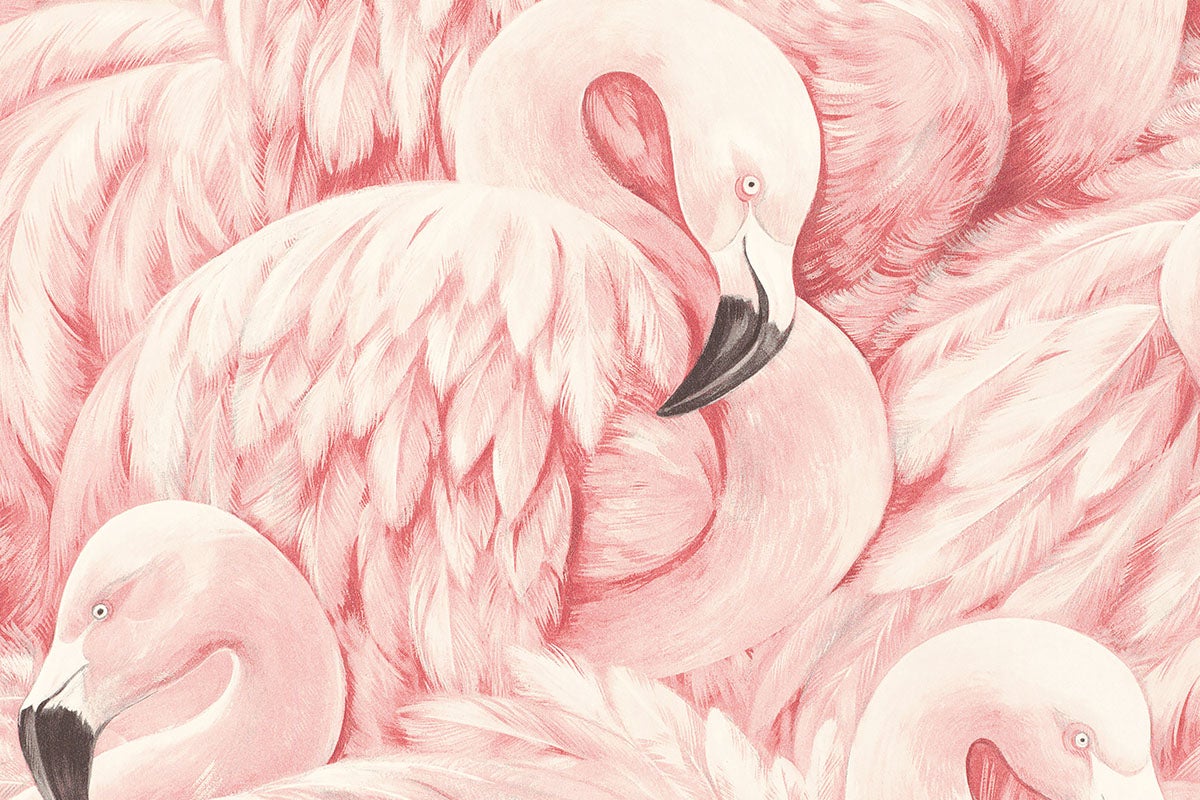Illustration av flamingor med fjädrar