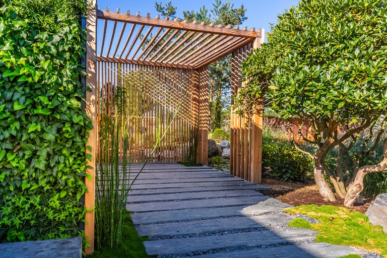 Scen med en träpergola ovanför en trädgårdsgång med stenplattor och omgiven av gröna växter