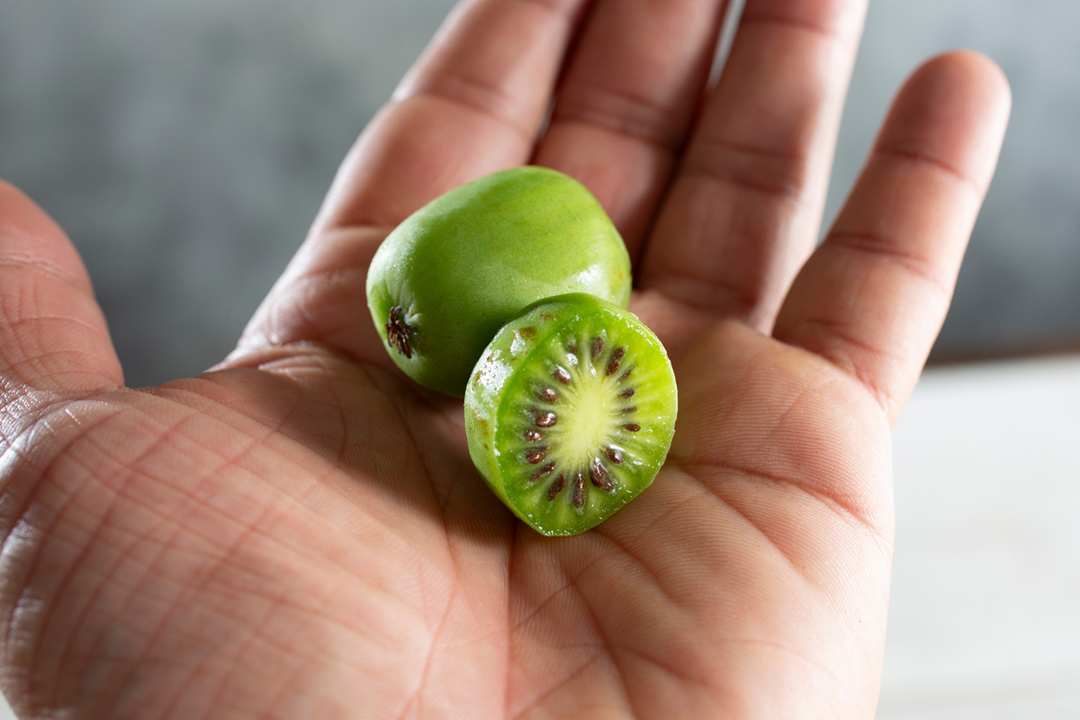 Två minikiwi i en hand, en av dem halverad
