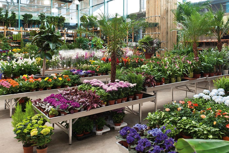 Översikt över växter i ett trädgårdscenter på bord