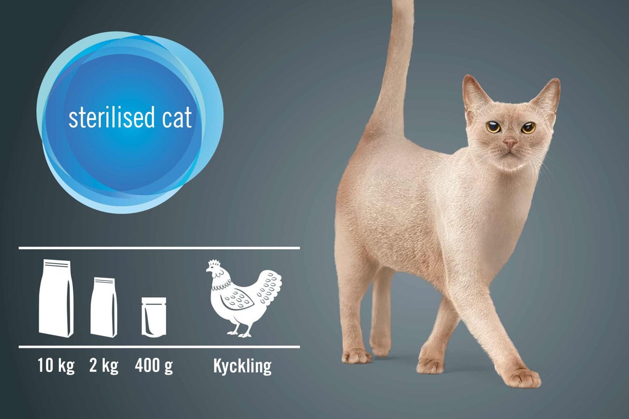 Kattmat för steriliserade katter med fågel i olika förpackningsstorlekar