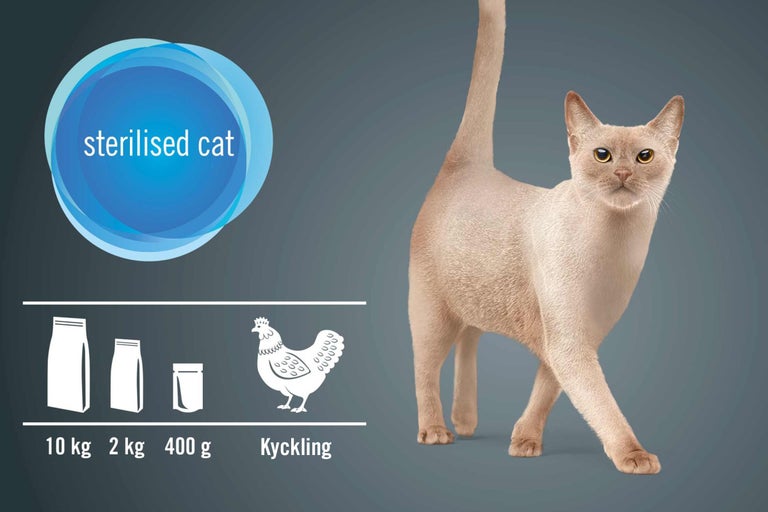 Kattmat för steriliserade katter med fågel i olika förpackningsstorlekar
