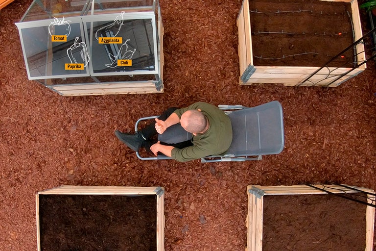 Översikt över en man på en solstol i en trädgård med upphöjda rabatter och ett växthus