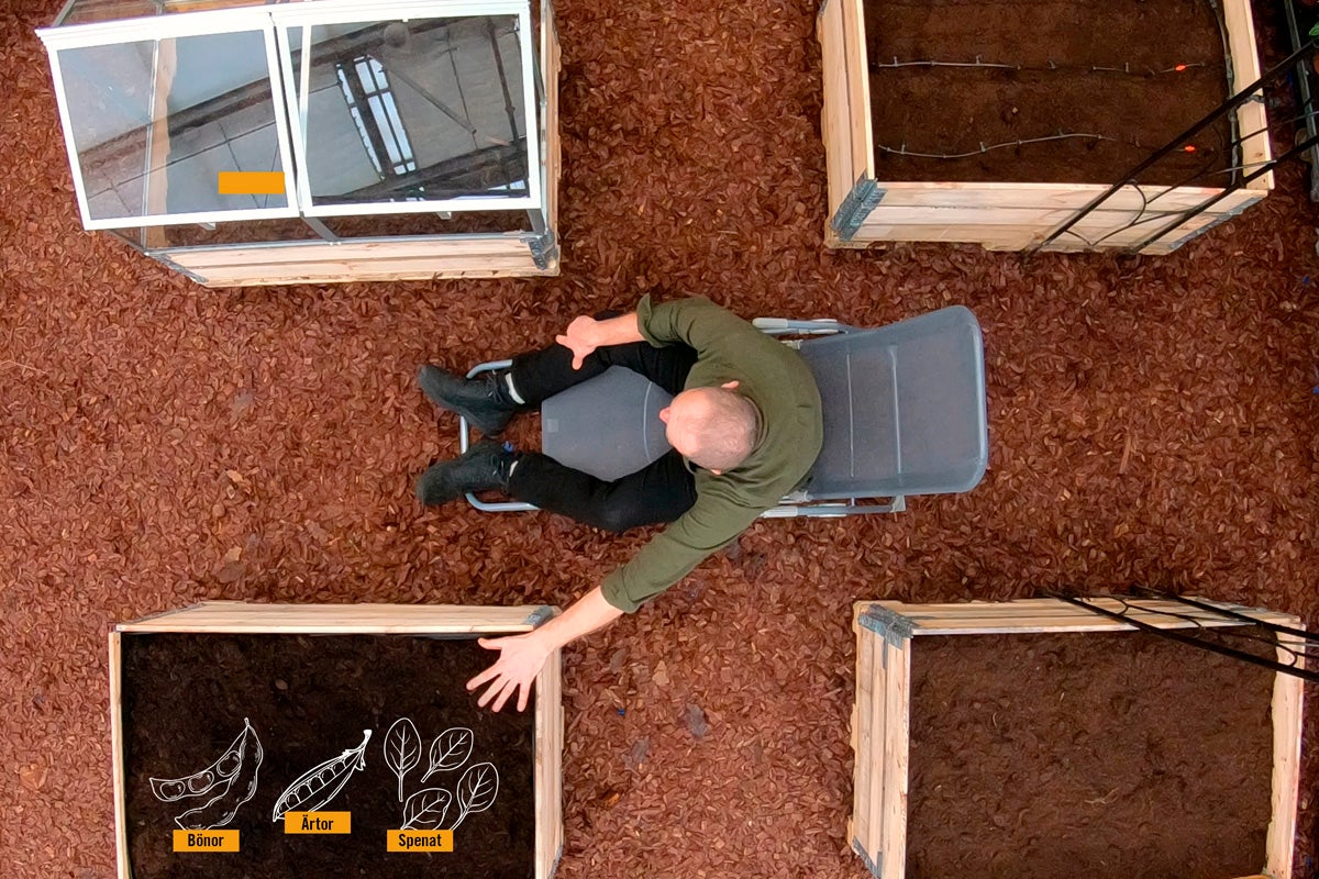 Ovanifrån: Man kopplar av på en solstol bredvid upphöjda sängar och en drivbänk i trädgården.