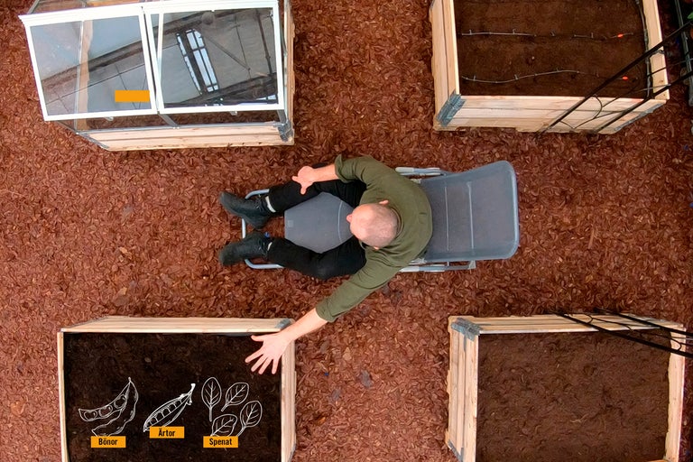 Ovanifrån: Man kopplar av på en solstol bredvid upphöjda sängar och en drivbänk i trädgården.