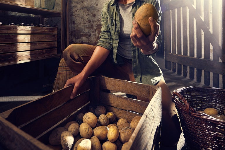 Potatisens dag – 26 oktober