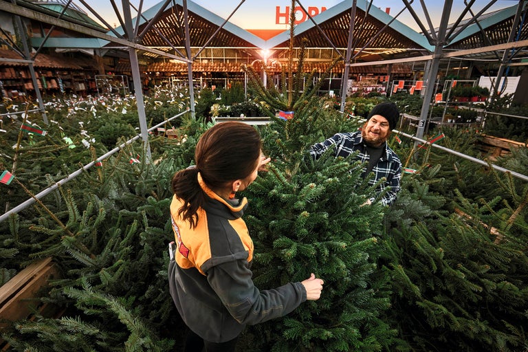 Kunder väljer julgranar i Hornbach-butiken
