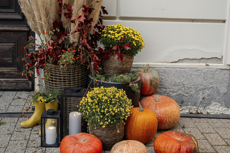 Höstdekoration framför en husvägg med pumpor, gula krysantemum i flätade korgar, lyktor och höstliga blomsterarrangemang.