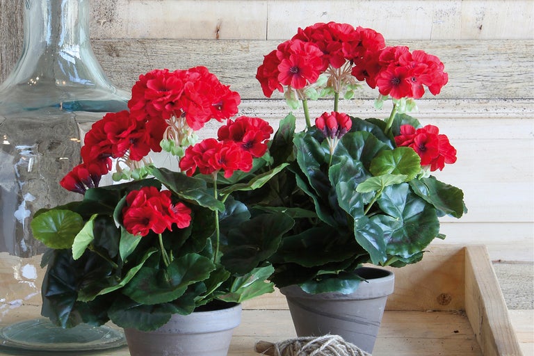 Två krukor med konstgjorda pelargoner på ett bord