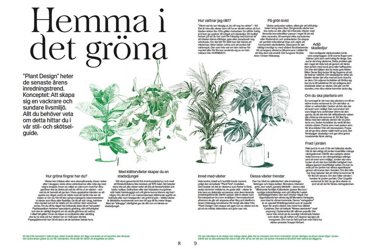 Illustration om krukväxter och deras skötsel.