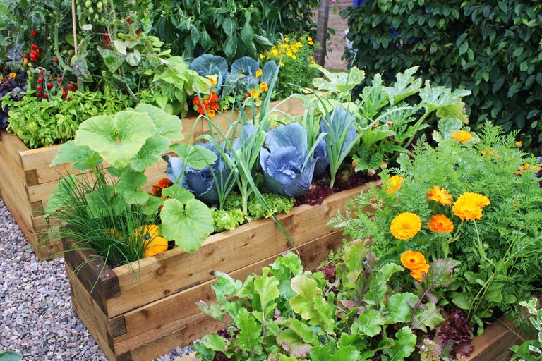 Högbädd planterad med grönsaker och blommor