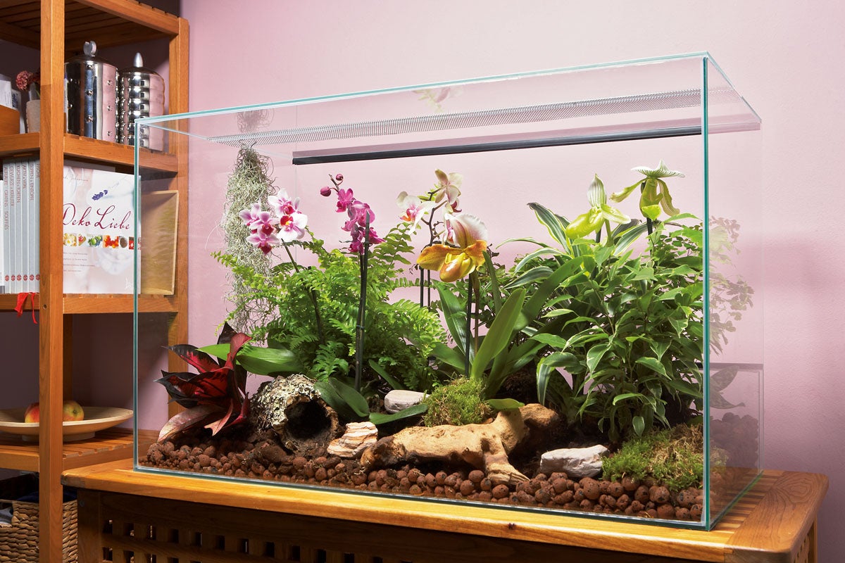 Glast terrarium med växter på ett träskåp