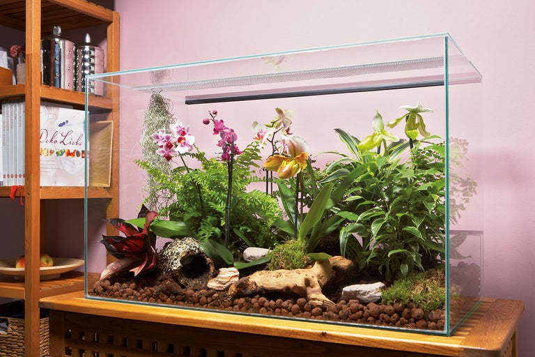 Glast terrarium med växter på ett träskåp