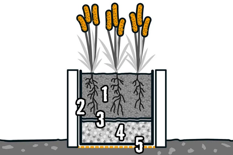 Schematisk ritning av en planterad dammväxtbehållare med substratlager
