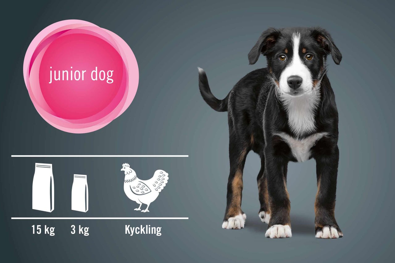 Bild av en ung hund med foderpåsesymboler och kycklingsymbol