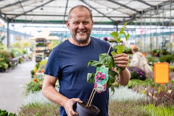 En man håller en hallonplanta i en kruka i ett trädgårdscenter.