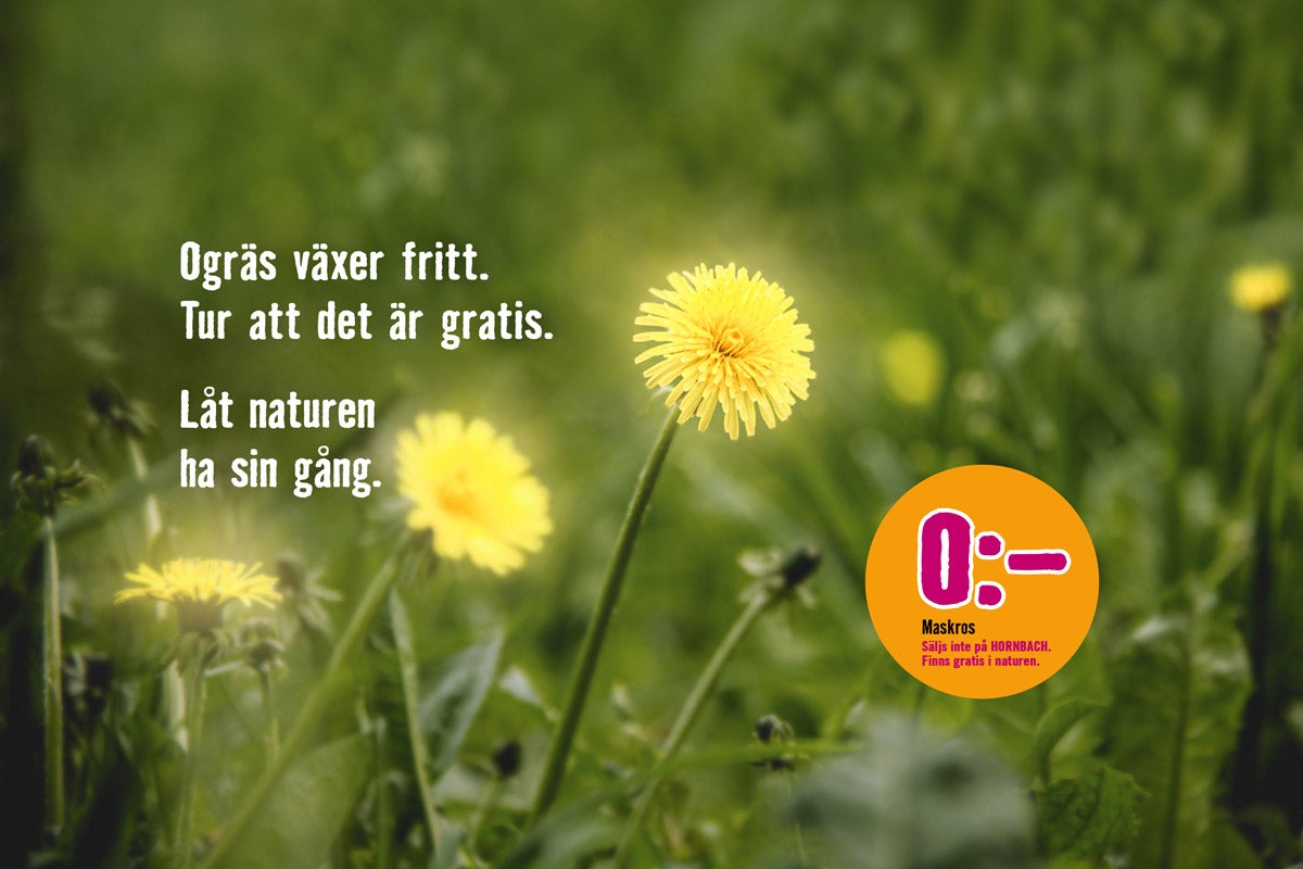Maskros i gräset med Hornbach logotyp. Ogräs är gratis.