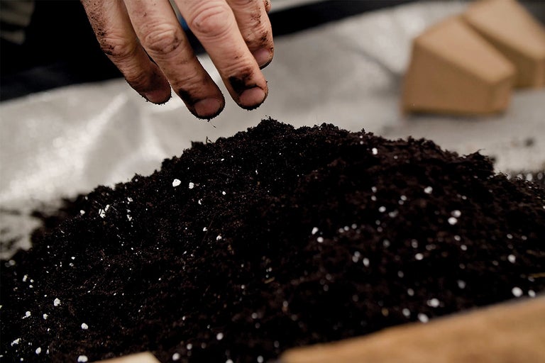 En hand sår blomjord.