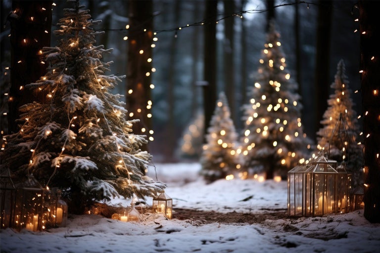 Vinterlandskap med snöiga julgranar, ljusslingor och lyktor
