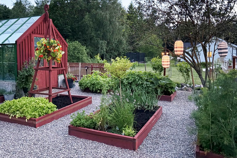 Skapa en köksträdgård