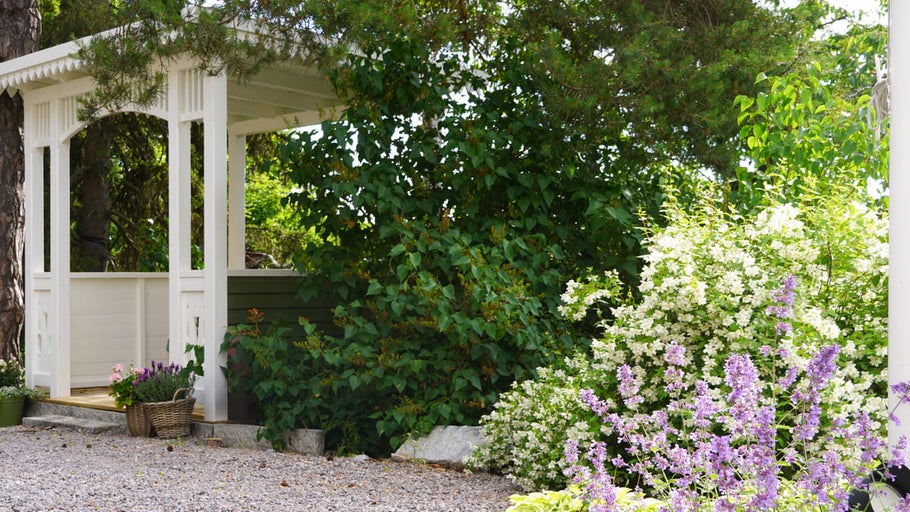 Trädgårdspaviljong i trädgården med växter och blommor