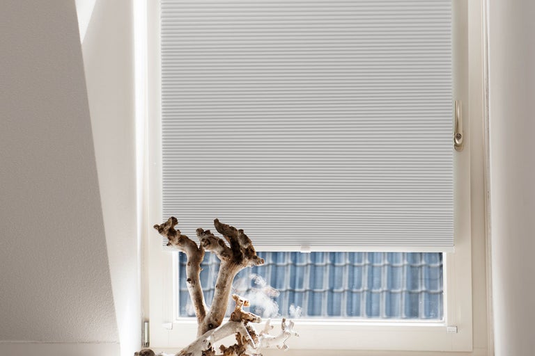 Vy över ett fönster med en plisségardin för ljusreglering